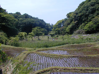 鎌倉中央公園