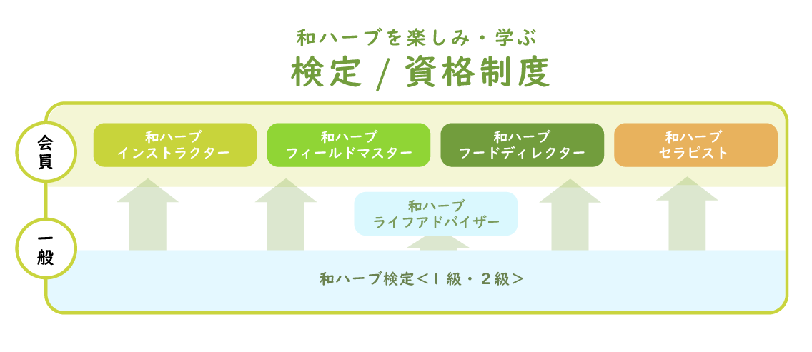 資格制度の図