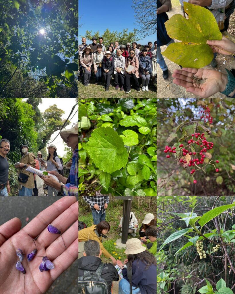 鎌倉和ハーブ塾の様子